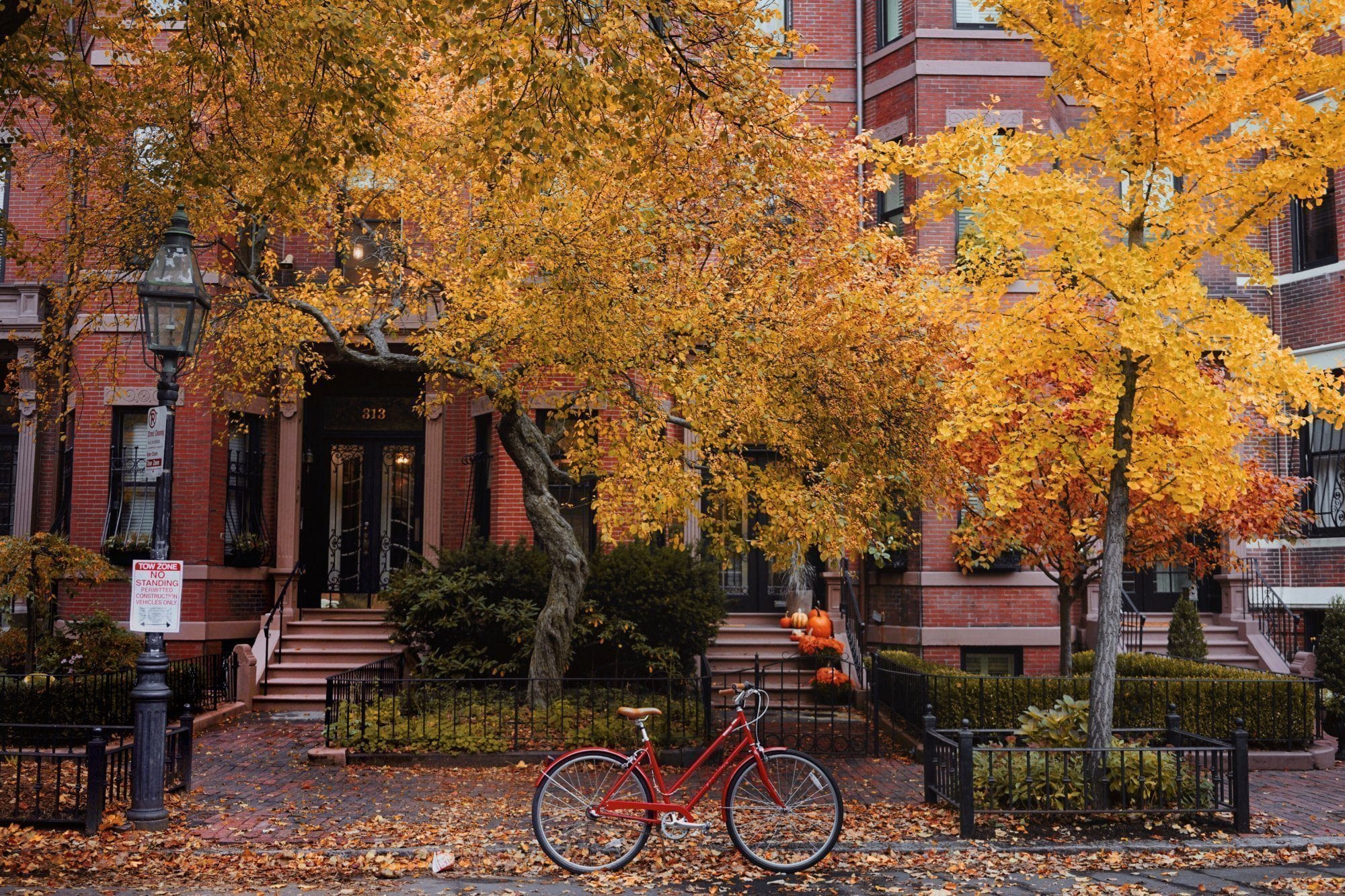 4 Places to Check Out in Cambridge This Fall ft. Katherine Harrison